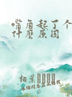 嘴角起了个泡是什么原因