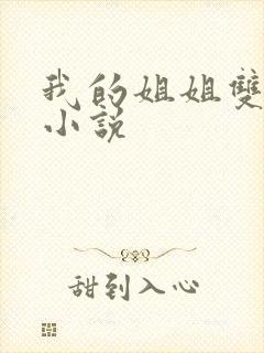 我的姐姐双女主小说
