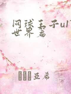 网球王子u17世界篇