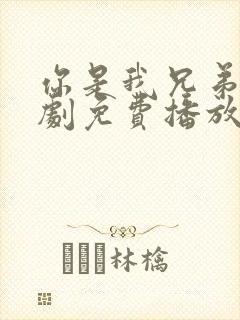 你是我兄弟电视剧免费播放