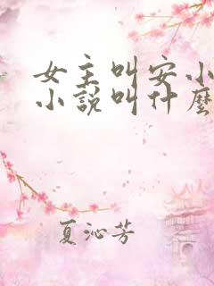 女主叫安小暖的小说叫什么名字