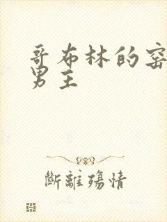 哥布林的窑洞双男主