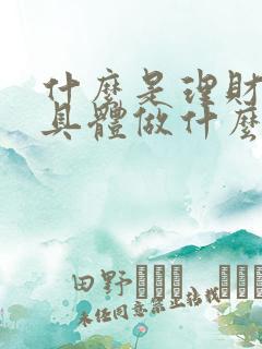 什么是理财理财具体做什么