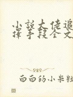 小说大佬追妻不择手段全文阅读