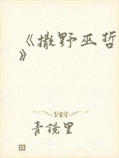 《撒野巫哲小说》