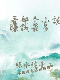 看哪个小说软件赚钱最多