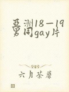亚洲18—19男同gay片