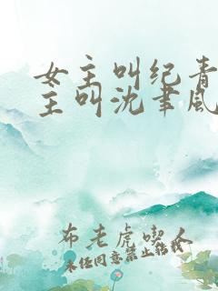 女主叫纪青语男主叫沈聿风的小说