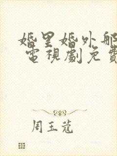 婚里婚外那些事 电视剧免费观看