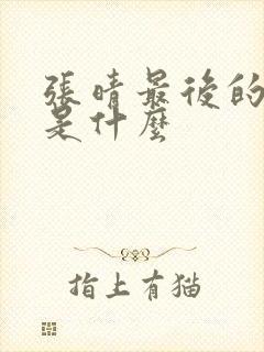 张晴最后的结局是什么