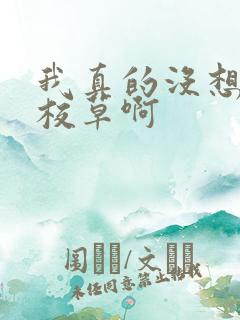 我真的没想勾引校草啊