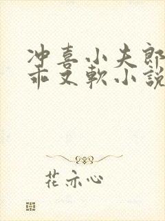 冲喜小夫郎他又乖又软小说免费阅读