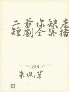 二爷你缺老婆不短剧全集播放