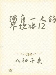 独自一人的异世界攻略12