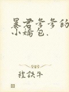 暴君爹爹的团宠小娇包.