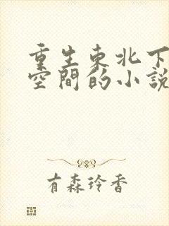 重生东北下乡带空间的小说