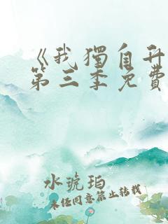 《我独自升级》第三季免费观看