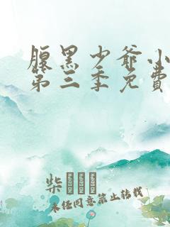 腹黑少爷小甜妻第三季免费