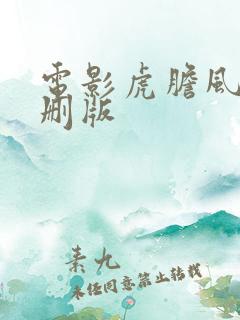 电影虎胆风云未删版