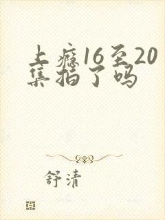 上瘾16至20集拍了吗