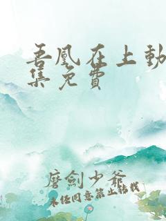 吾凰在上动漫全集免费