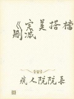 《完美搭档》无删减