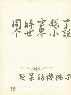 同时穿越了99个世界小说第一部