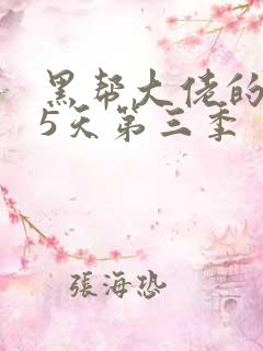 黑帮大佬的365天第三季