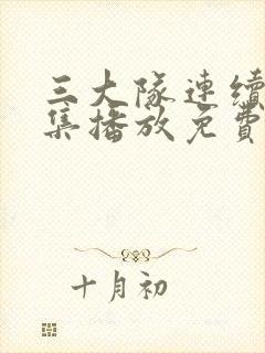 三大队连续剧全集播放免费观看