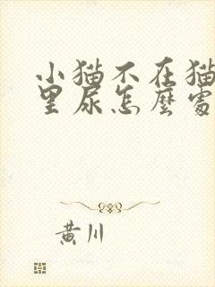 小猫不在猫砂盆里尿怎么处理