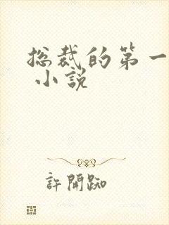 总裁的第一宠妻 小说