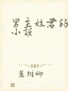 男主姓君的现代小说