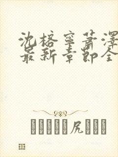 沈榕宁萧泽小说最新章节全文阅读