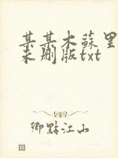 某某木苏里小说未删版txt