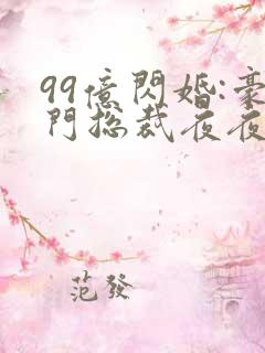 99亿闪婚:豪门总裁夜夜忙