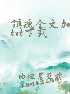 镇魂全文加番外txt下载