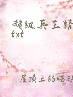 超级兵王精校版txt