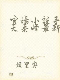 官场小说手眼通天秦峰最新章节