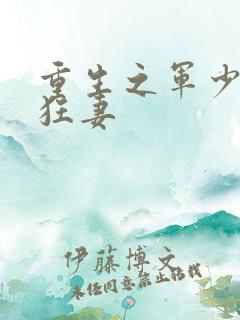 重生之军少枭宠狂妻