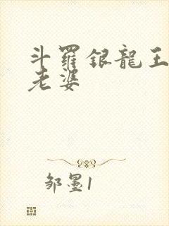斗罗银龙王是我老婆