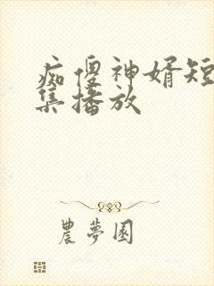 痴傻神婿短剧全集播放