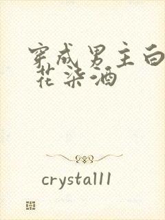 穿成男主白月光 花柒酒