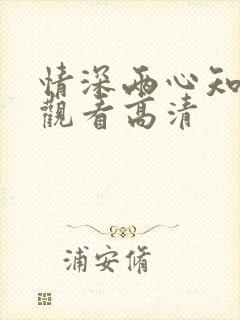 情深两心知免费观看高清