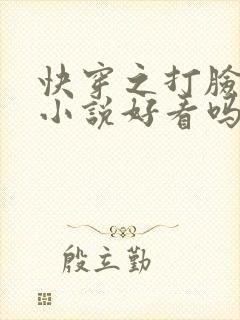 快穿之打脸狂魔小说好看吗
