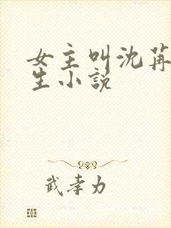 女主叫沈苒的重生小说