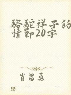 骆驼祥子的主要情节20字