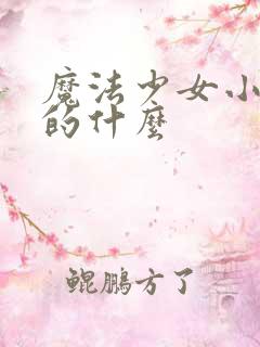 魔法少女小圆讲的什么