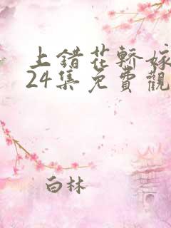 上错花轿嫁王爷24集免费观看