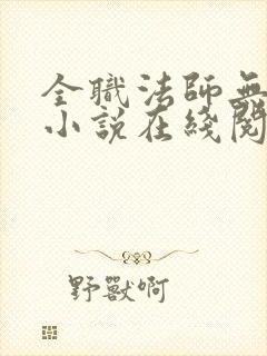 全职法师无删减小说在线阅读