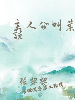 主人公叫叶辰小说